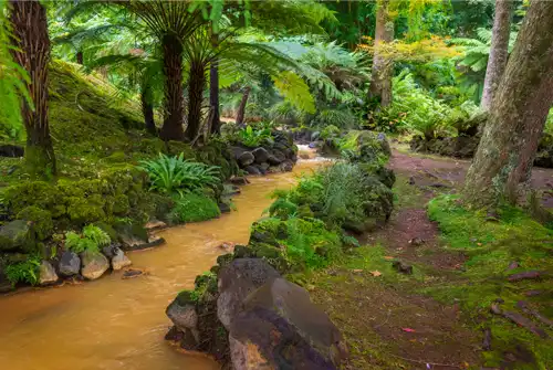 Furnas - Parque Terra Nostra