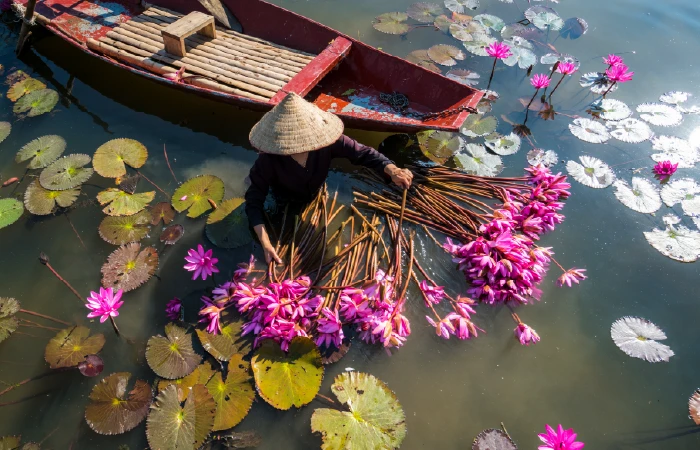 Flores
