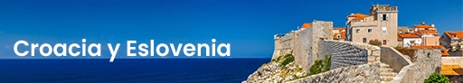 Banner pdf