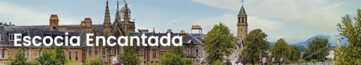Banner pdf