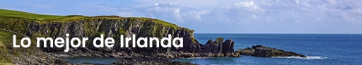Banner pdf