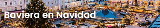 Banner pdf
